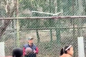 杨毅：麦迪水平不差，但要说巅峰麦迪和巅峰科比一个级别，我不认